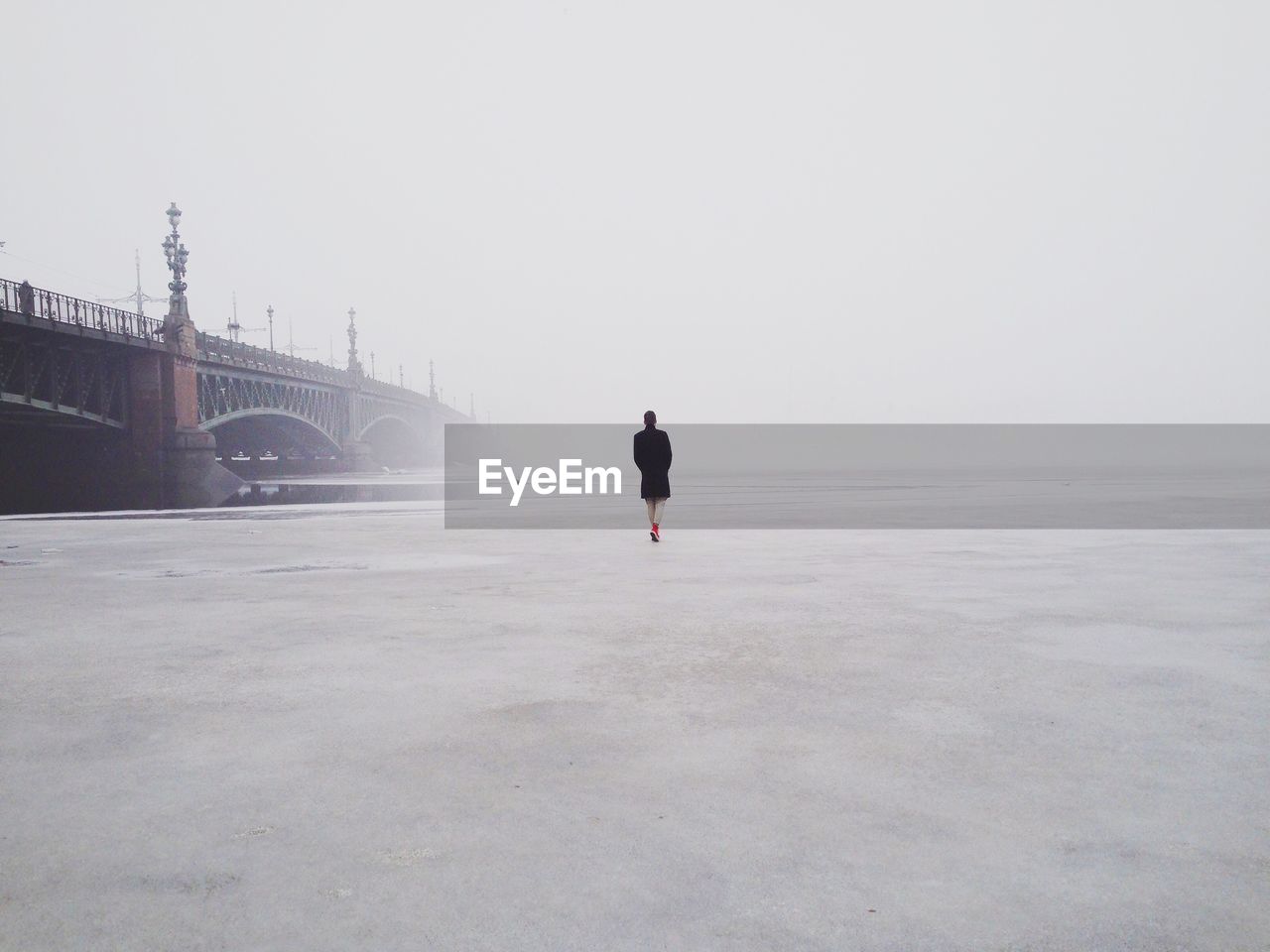 Rear view of man on sea against clear sky