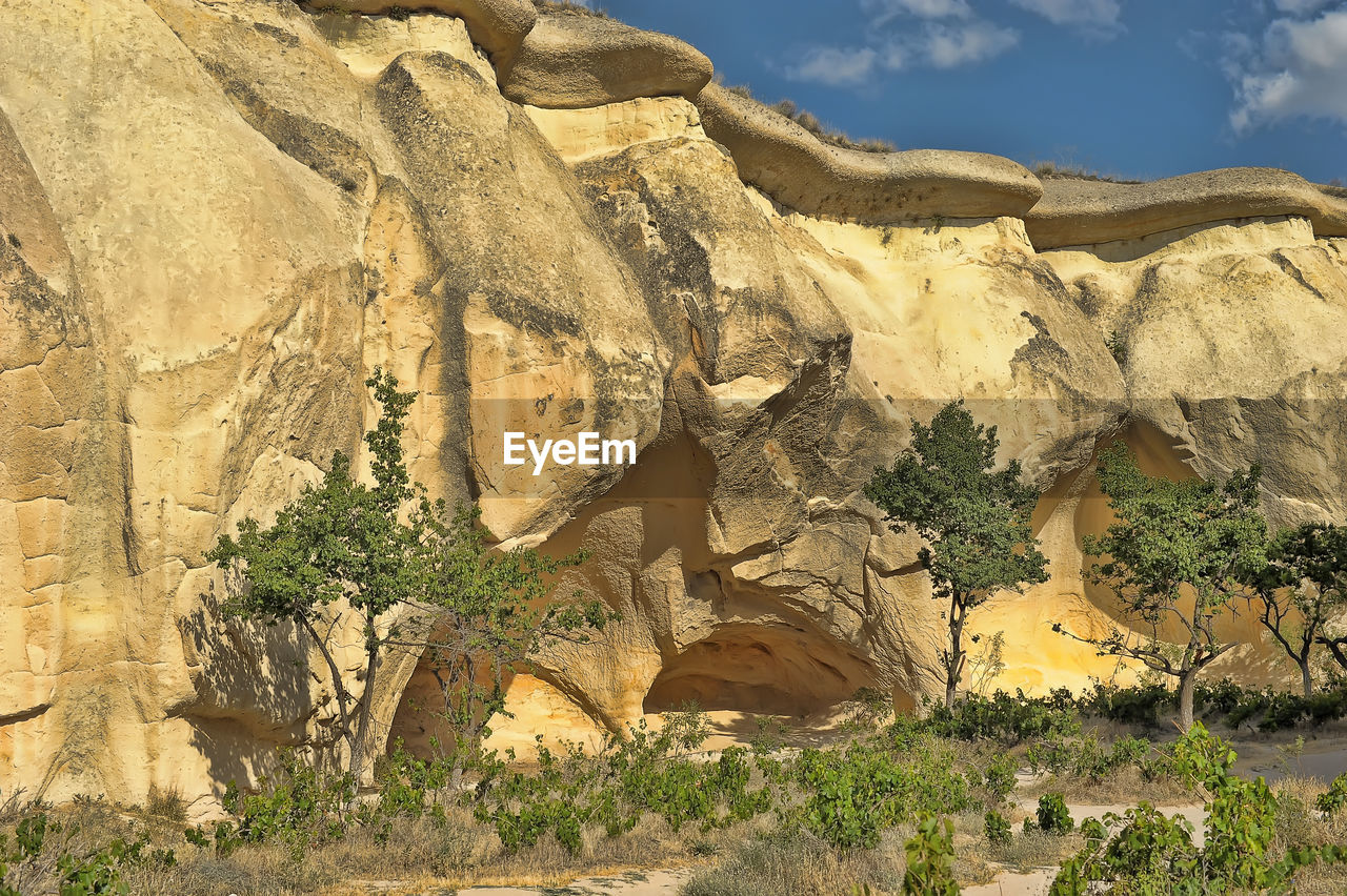 VIEW OF ROCKS AND PLANTS AGAINST ROCK FORMATION