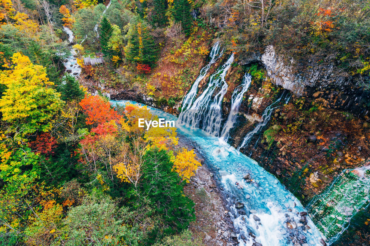 Scenic view of waterfall in forest during autumn