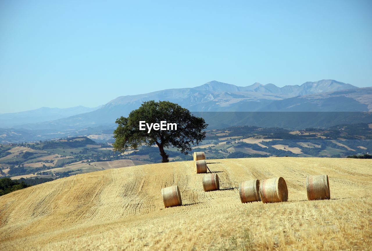 Hay bales on field against sky