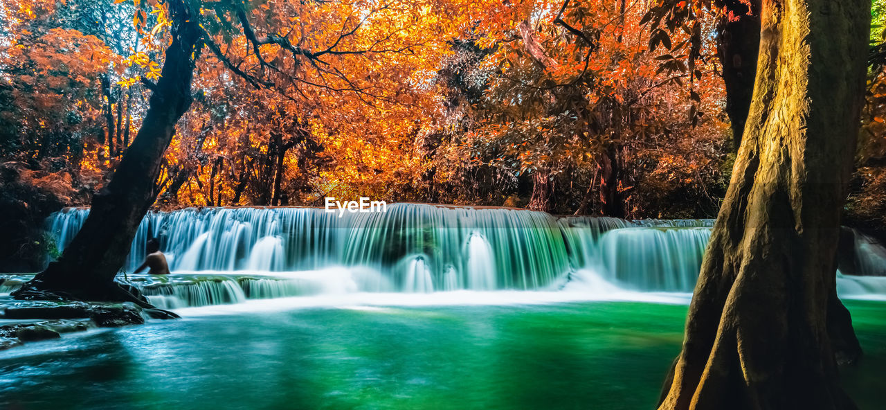 Scenic view of waterfall in forest during autumn