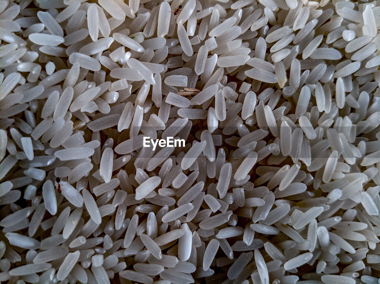 Fullframe photo of rice grains taken in indonesia december 5, 2020