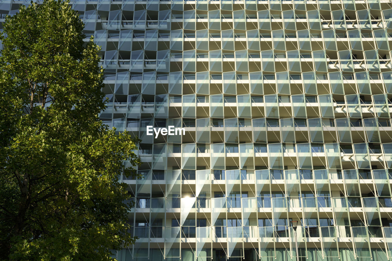 LOW ANGLE VIEW OF MODERN BUILDING WITH TREES IN CITY