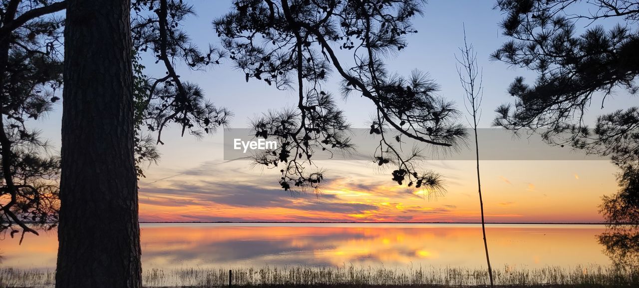 tree, sky, sunset, plant, beauty in nature, nature, tranquility, scenics - nature, water, tranquil scene, cloud, landscape, silhouette, environment, no people, idyllic, land, reflection, lake, non-urban scene, sun, orange color, outdoors, sunlight, dramatic sky, evening, tree trunk, trunk, growth, twilight, rural scene, horizon, dusk, travel destinations