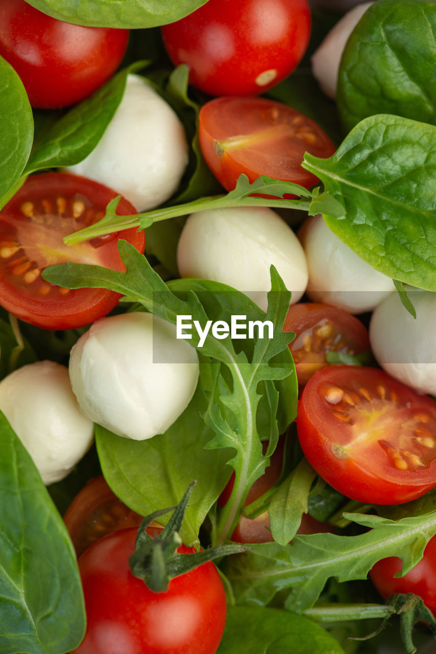 Salad of fresh vegetables and herbs with mozzarella