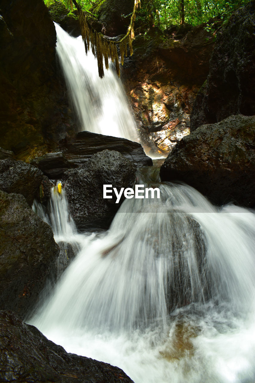 Scenic view of waterfall in forest