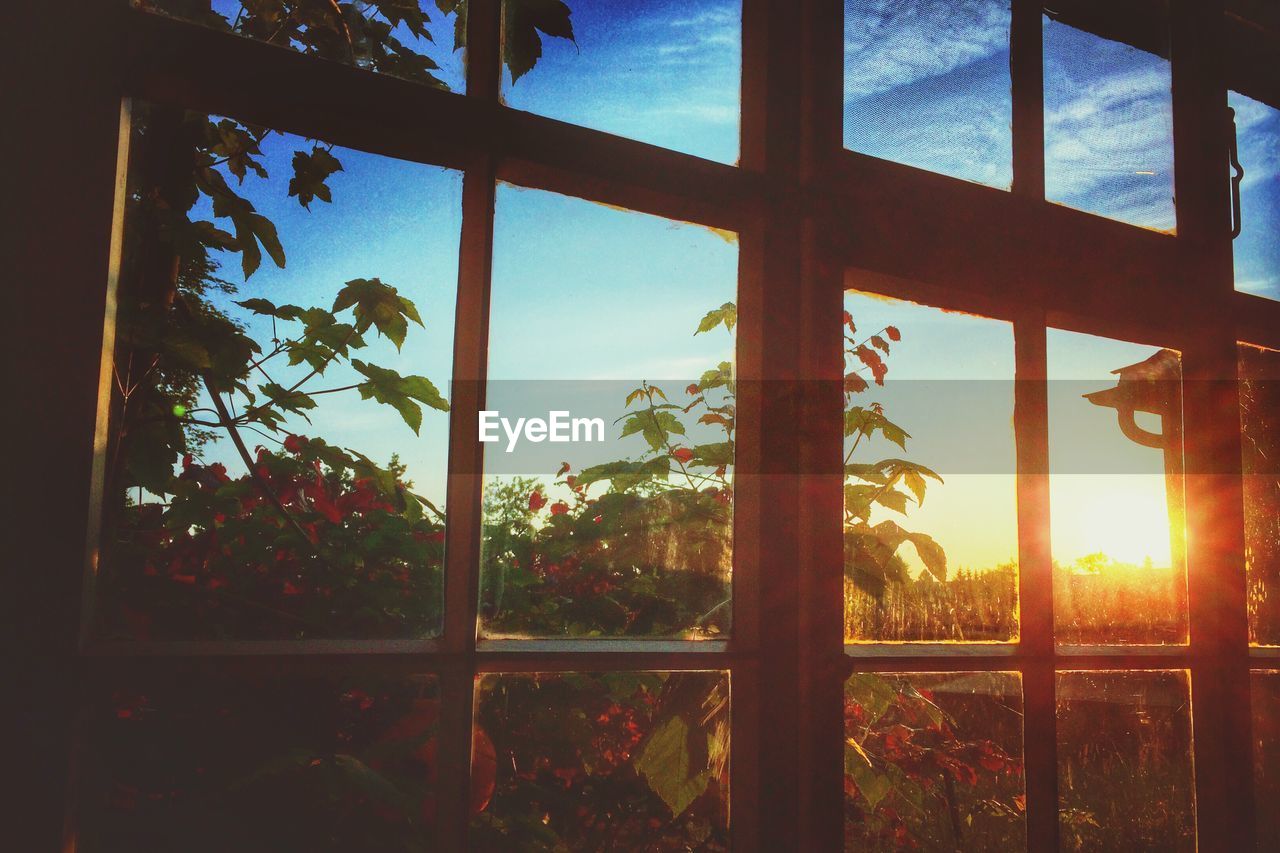 Close-up of sunset through window