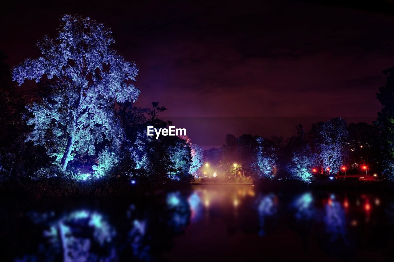 Illuminated trees by lake against sky at night