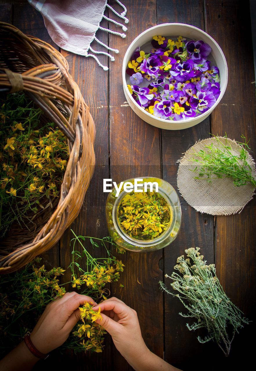 High angle view of potted plants on table