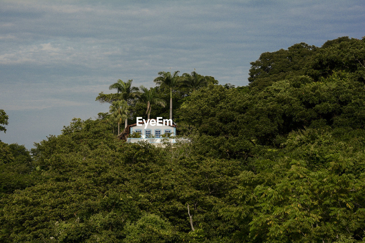 Cottage amidst trees against sky