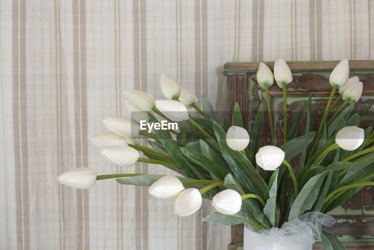 Close-up white tulips in vase against wall