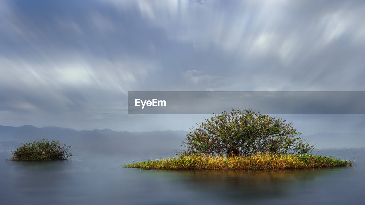 TREES BY LAKE AGAINST SKY