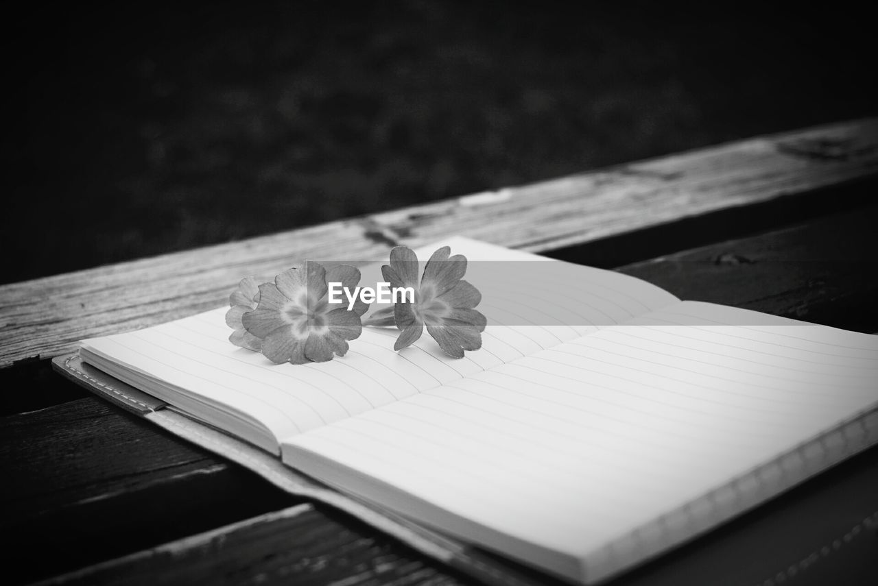 CLOSE-UP OF OPEN BOOK WITH TEXT ON TABLE