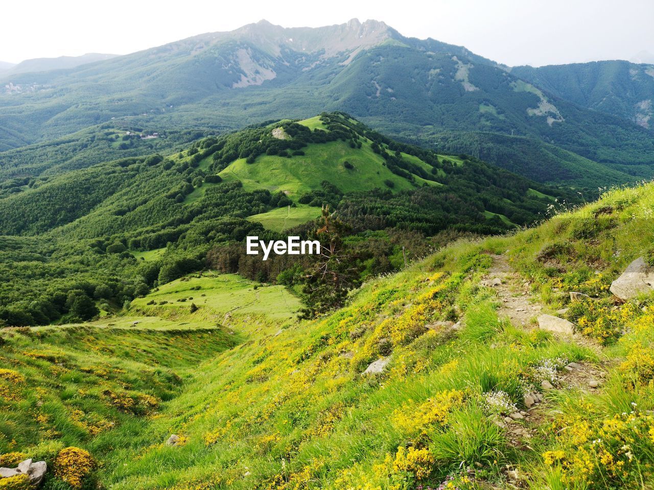 SCENIC VIEW OF GREEN LANDSCAPE AND MOUNTAINS AGAINST SKY