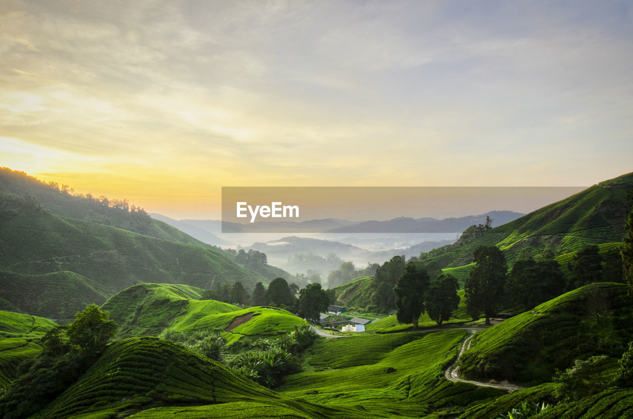 Scenic view of agricultural landscape against sky
