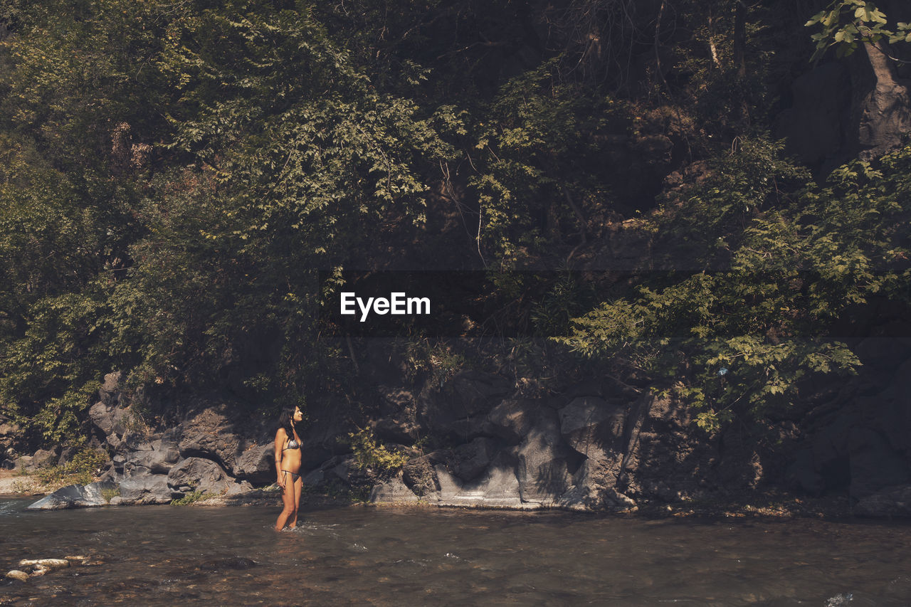 Woman wearing bikini standing in river at forest