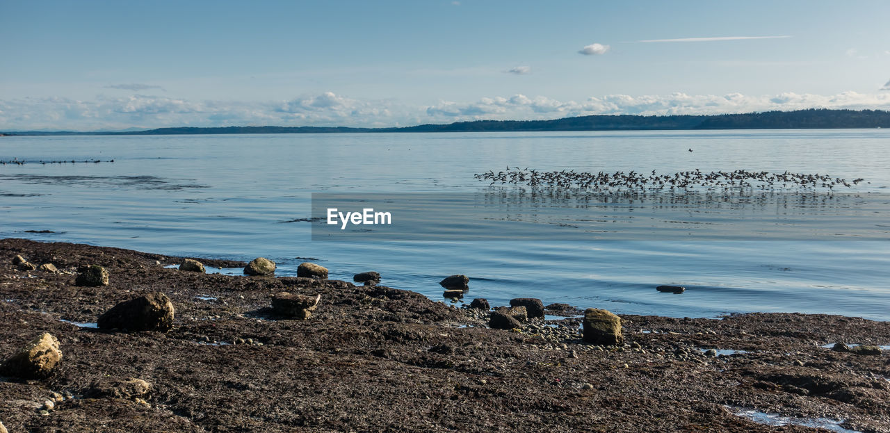 Scenic view of lake against sky