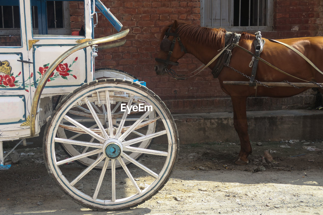 VIEW OF A HORSE CART IN THE WALL