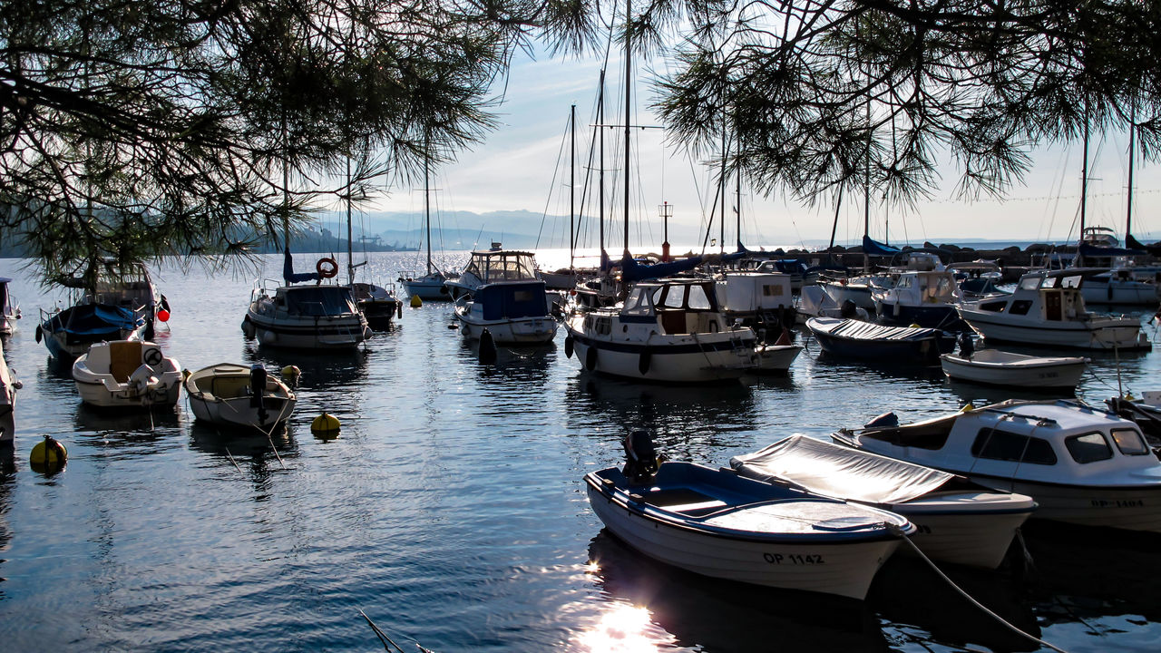 SAILBOATS MOORED IN MARINA