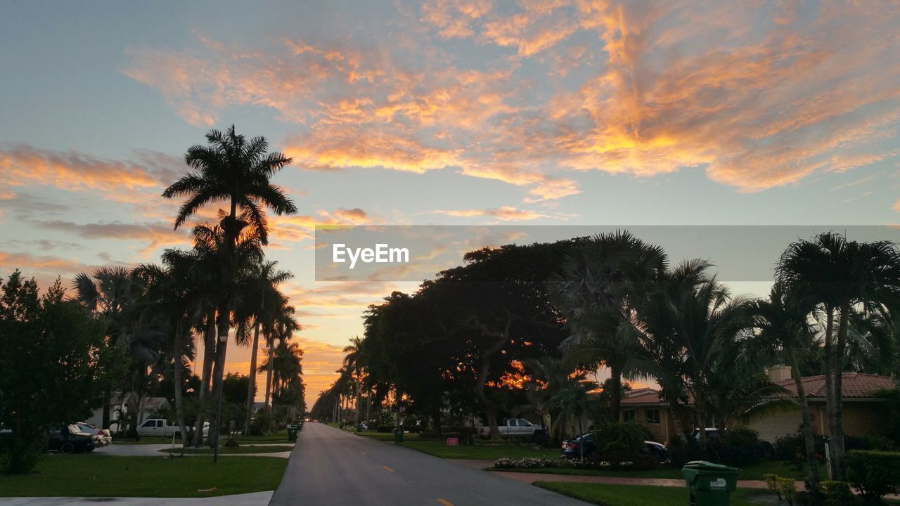 Road amidst trees and cars by houses during sunset