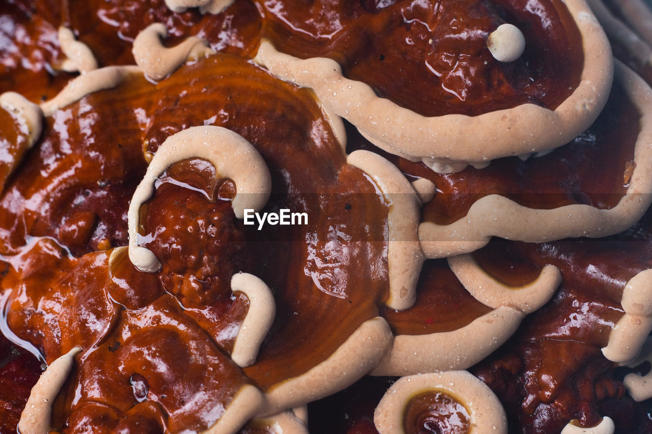 FULL FRAME SHOT OF COOKIES IN PLATE