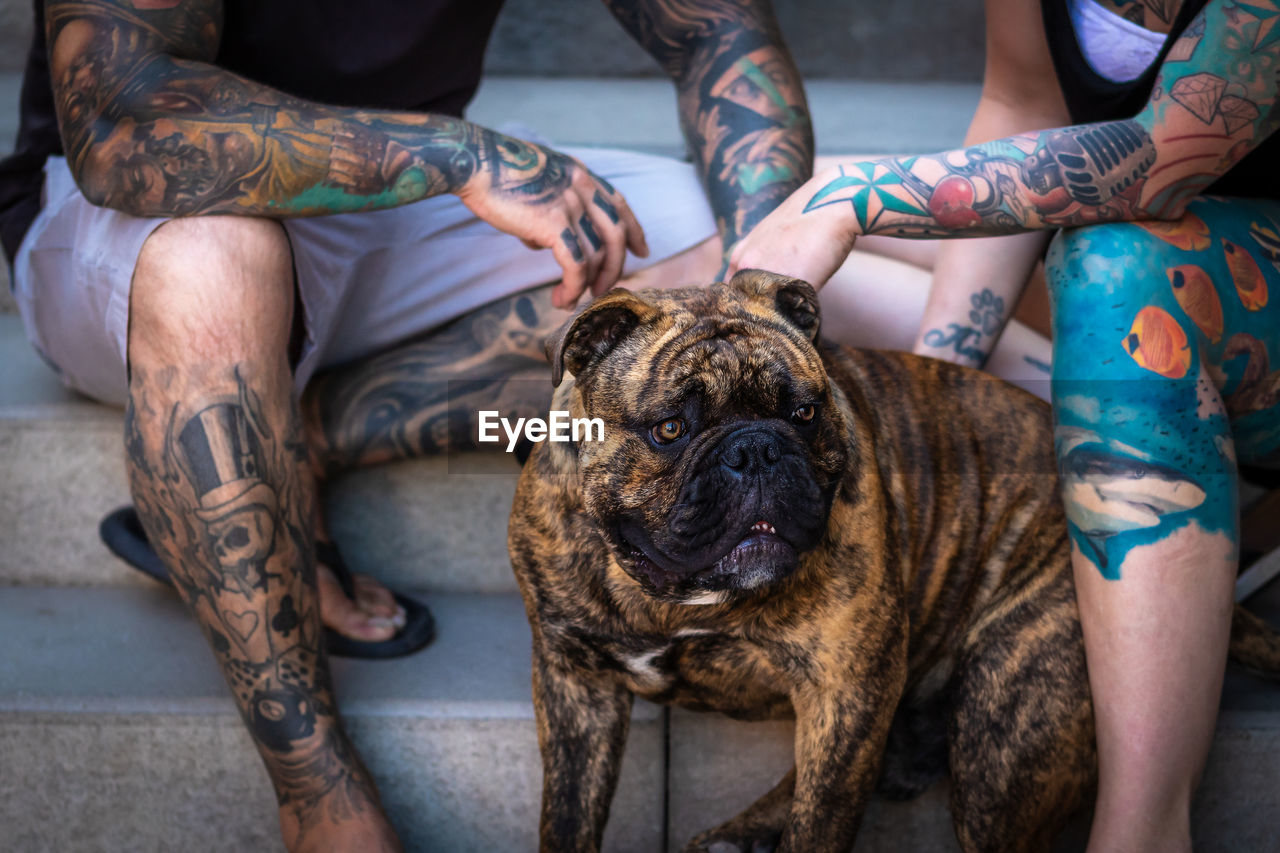 LOW SECTION OF PEOPLE WITH DOG ON FLOOR