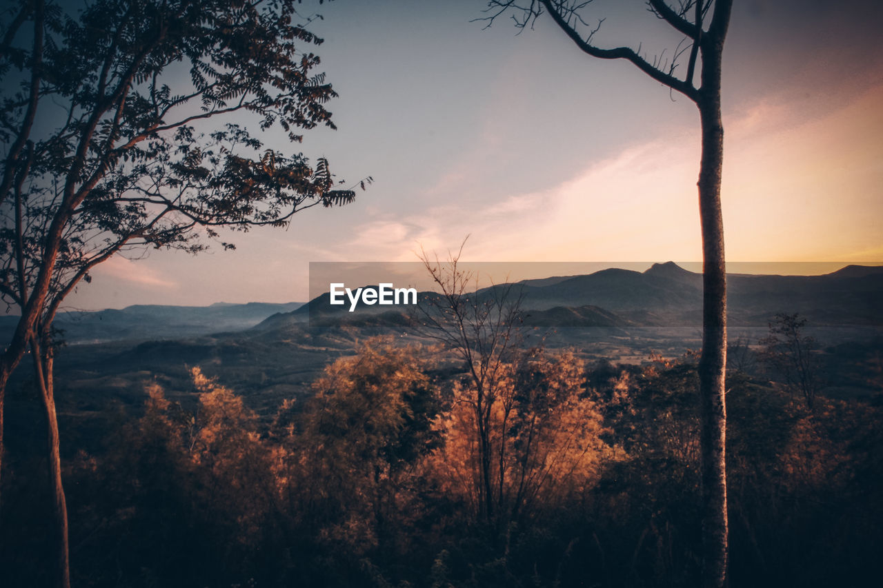 SCENIC VIEW OF TREES AND MOUNTAINS AGAINST SKY DURING SUNSET