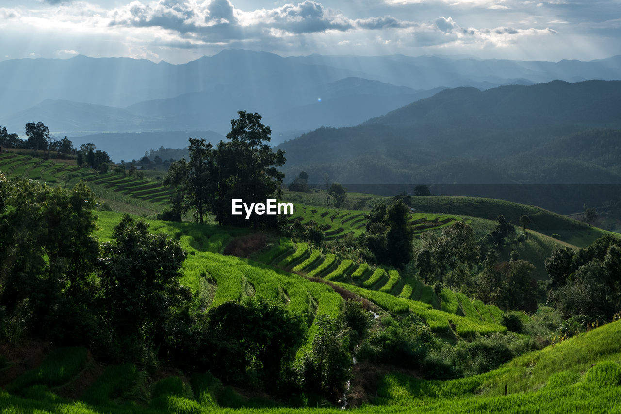 SCENIC VIEW OF FARM AGAINST SKY