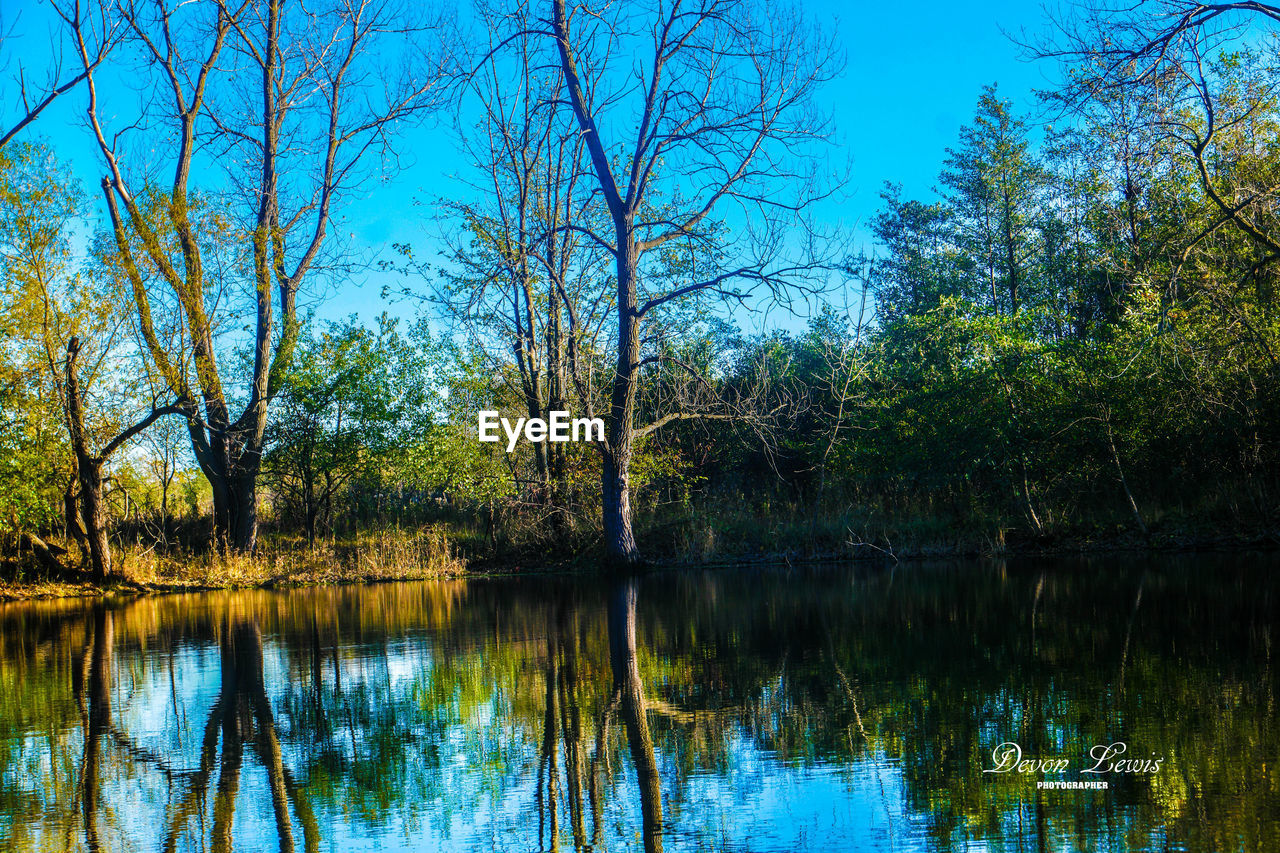 REFLECTION OF TREES IN LAKE AGAINST SKY