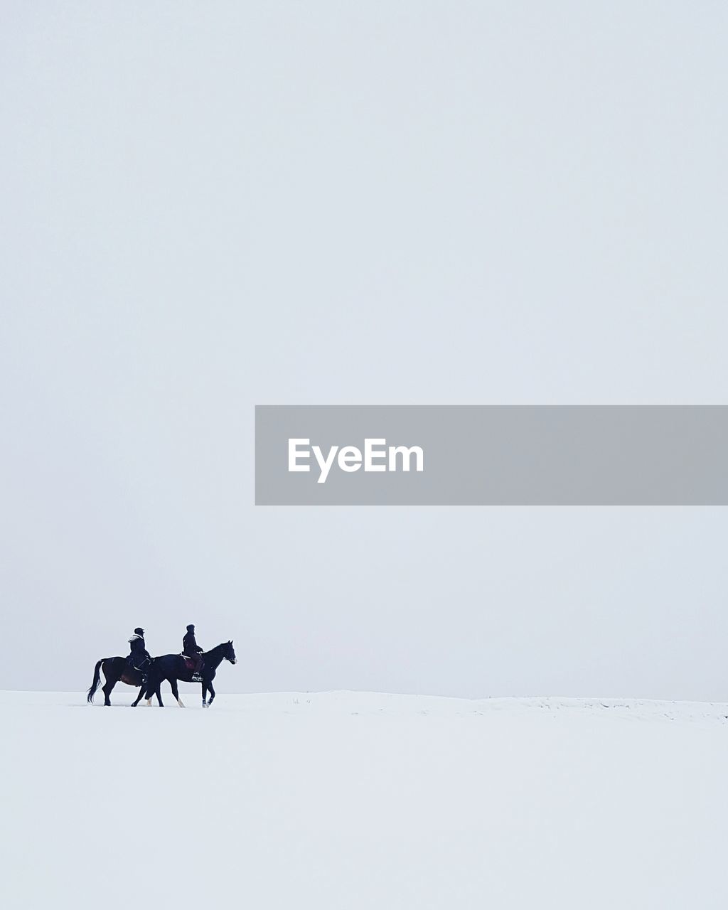 People riding on horses in snow against clear sky