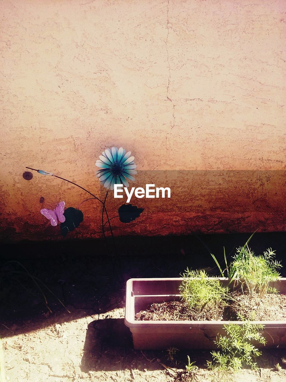 POTTED PLANTS ON WALL