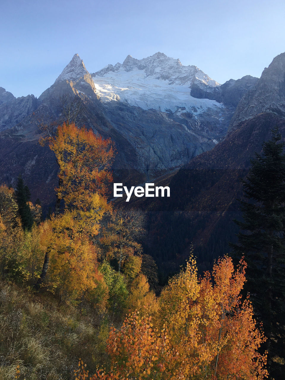 SCENIC VIEW OF TREES AND MOUNTAINS AGAINST SKY