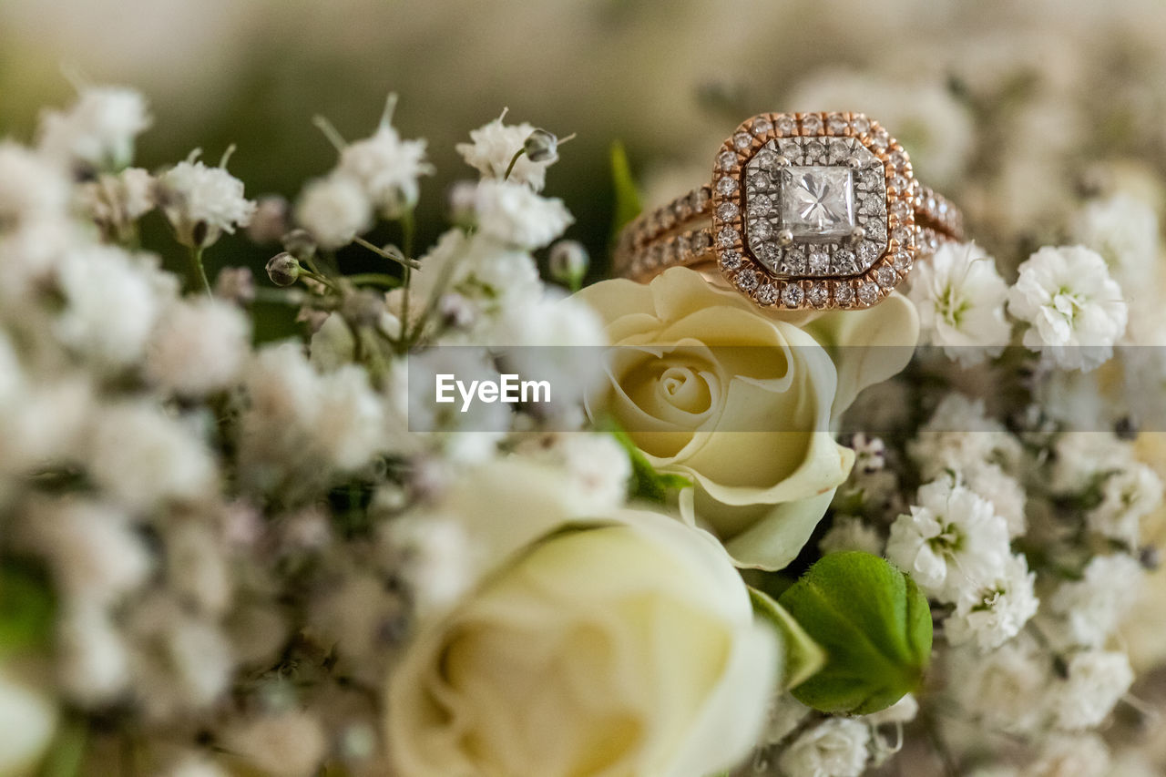 Close-up of diamond ring on flowers