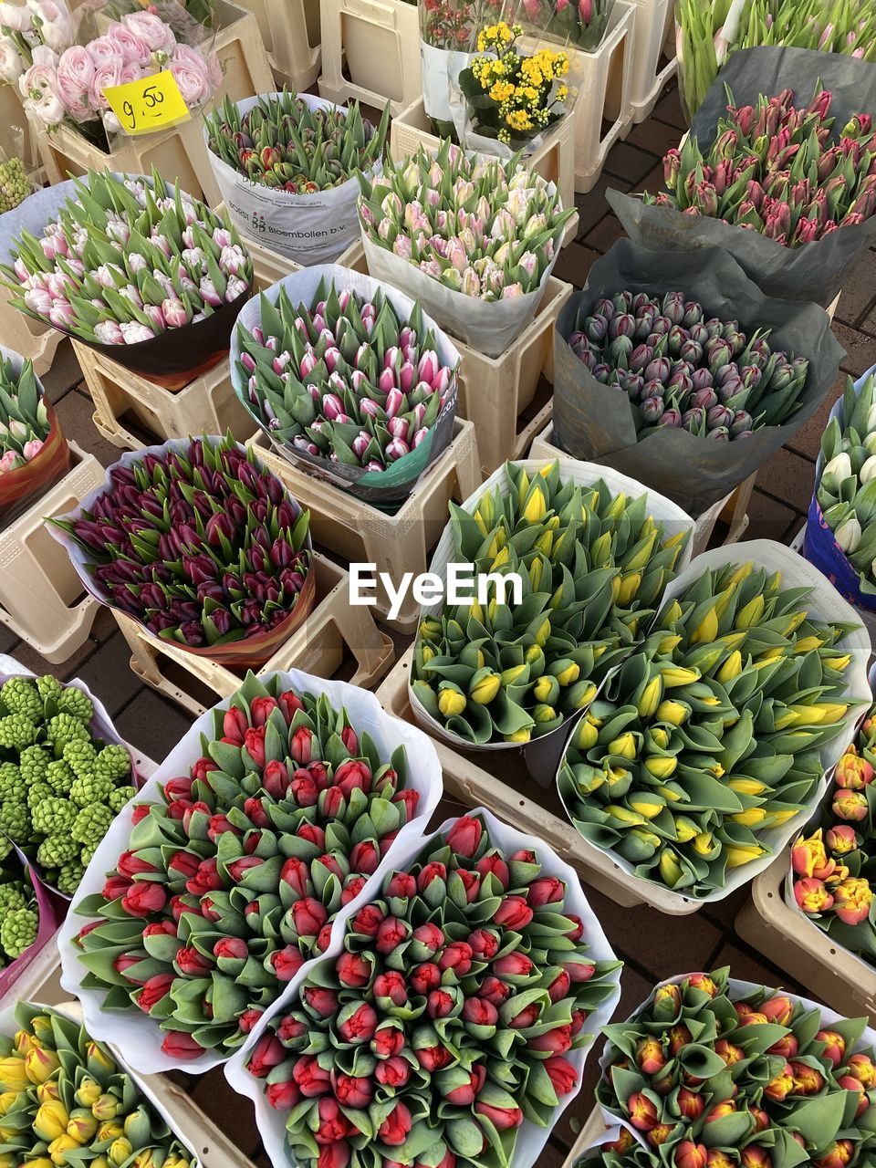 HIGH ANGLE VIEW OF FRUITS FOR SALE