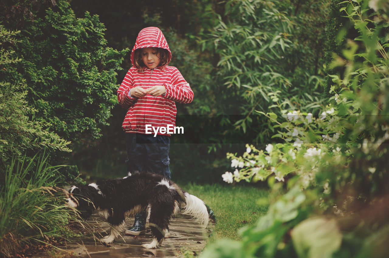 Cute girl standing by dog on footpath amidst plants