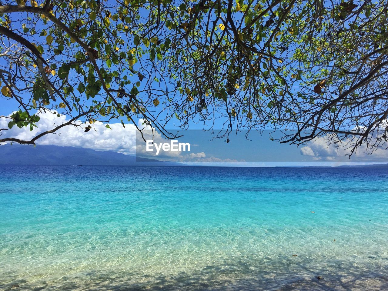 VIEW OF SEA FROM BEACH