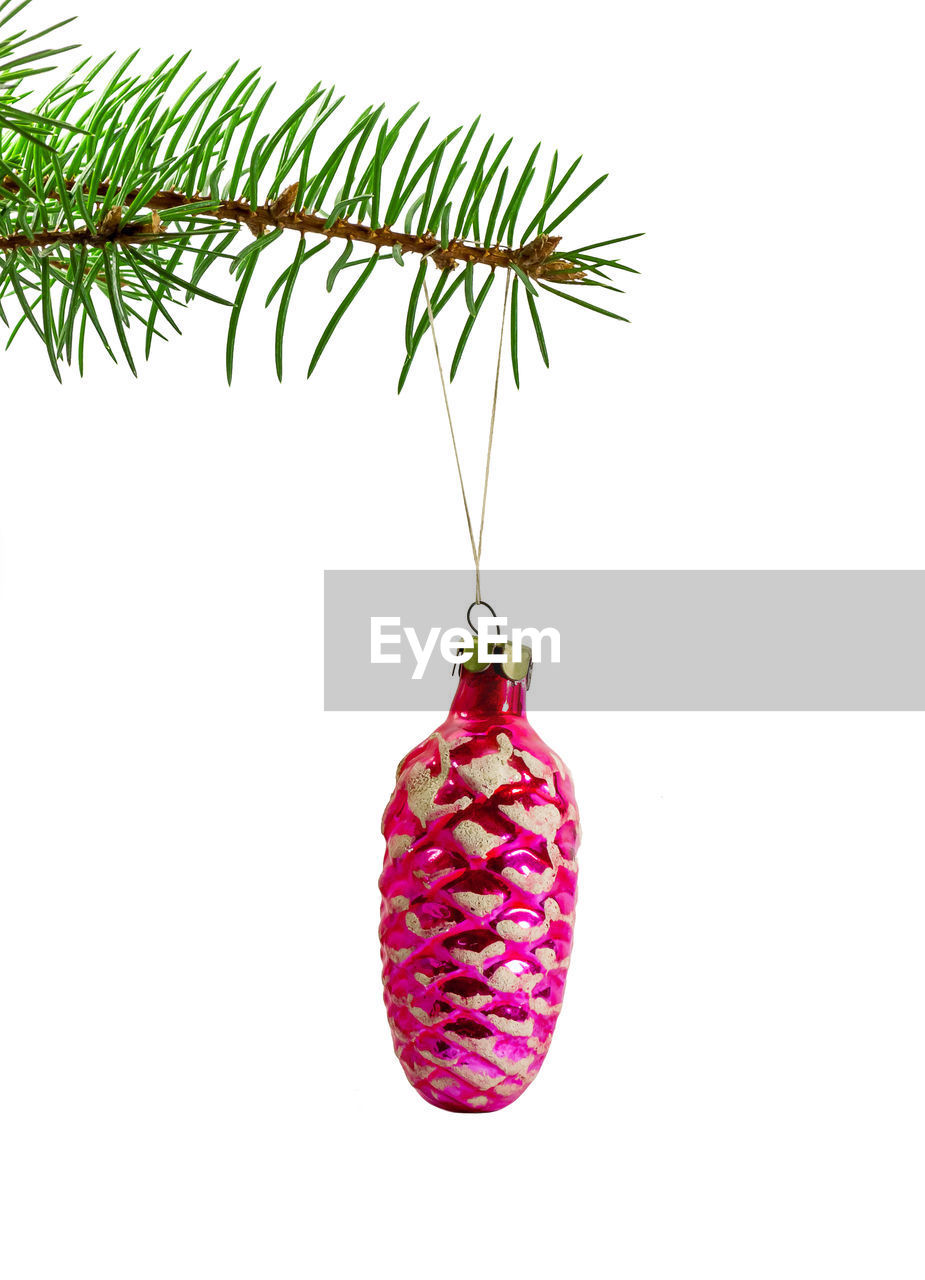 christmas tree, holiday, hanging, tree, white background, christmas, decoration, branch, christmas decoration, plant, studio shot, celebration, fir, christmas ornament, no people, cut out, indoors, nature, red, leaf, produce, copy space, food, food and drink, fruit, plant part, green, close-up