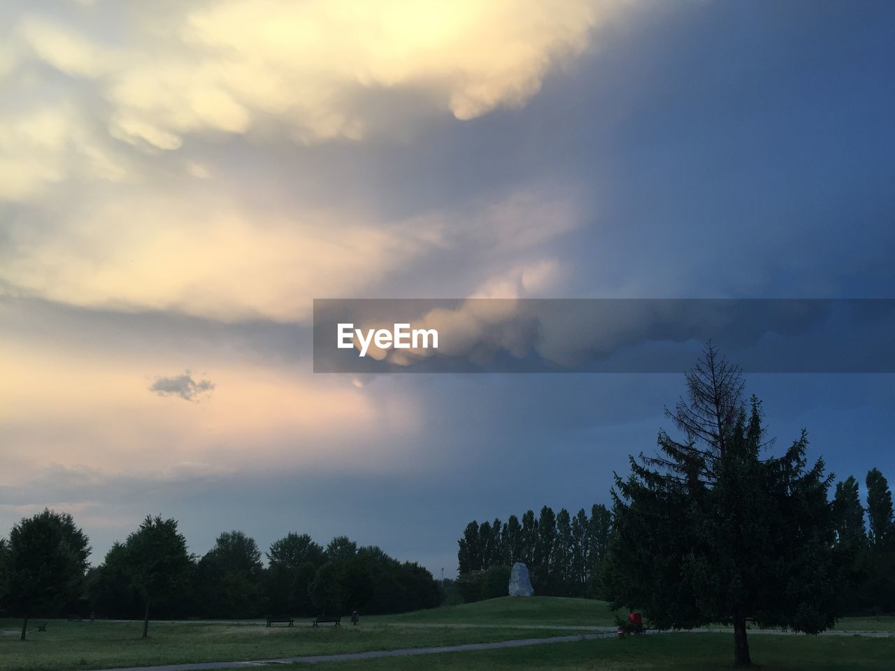 TREES ON FIELD AGAINST SKY