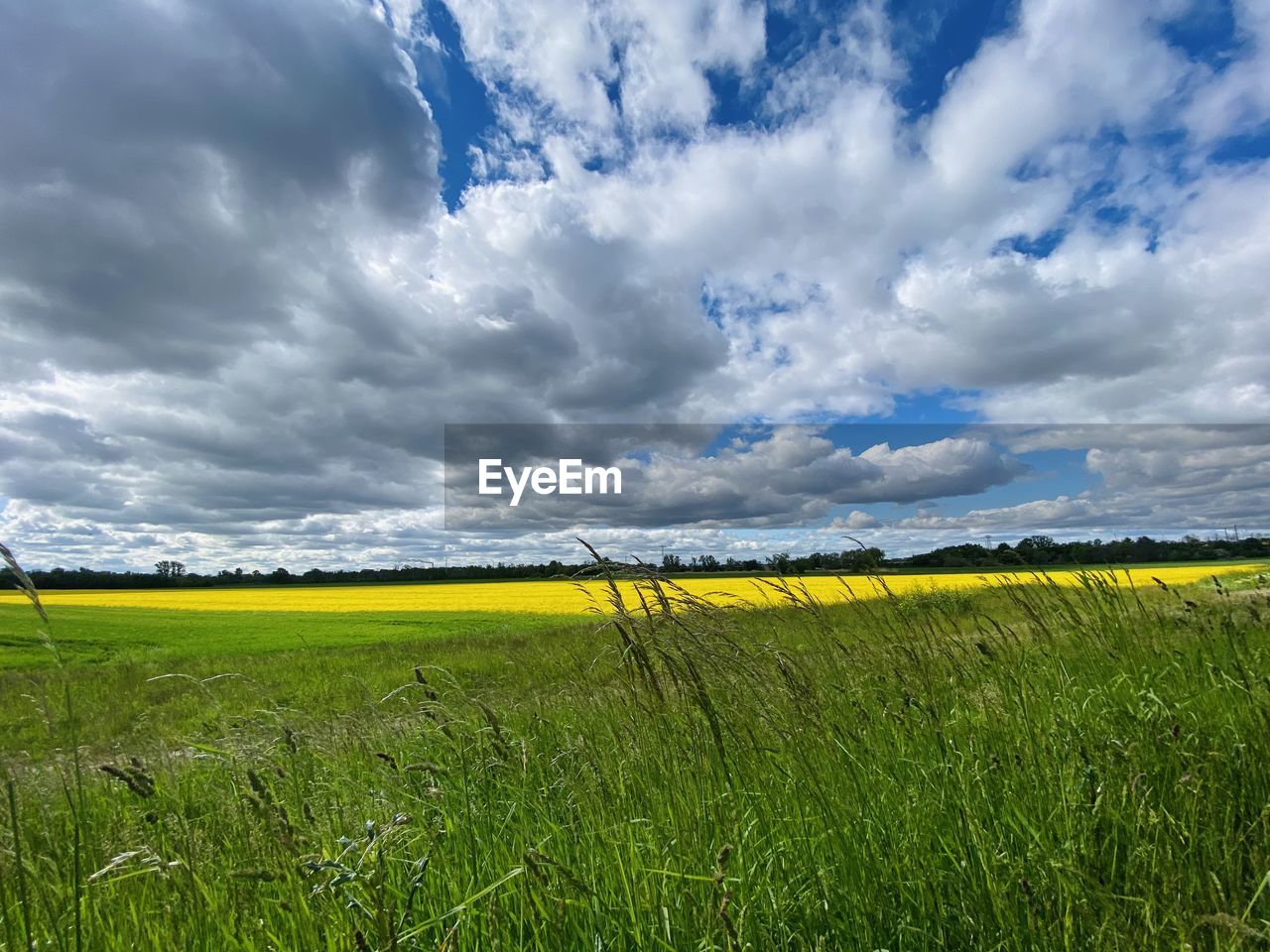 SCENIC VIEW OF FARM FIELD AGAINST SKY