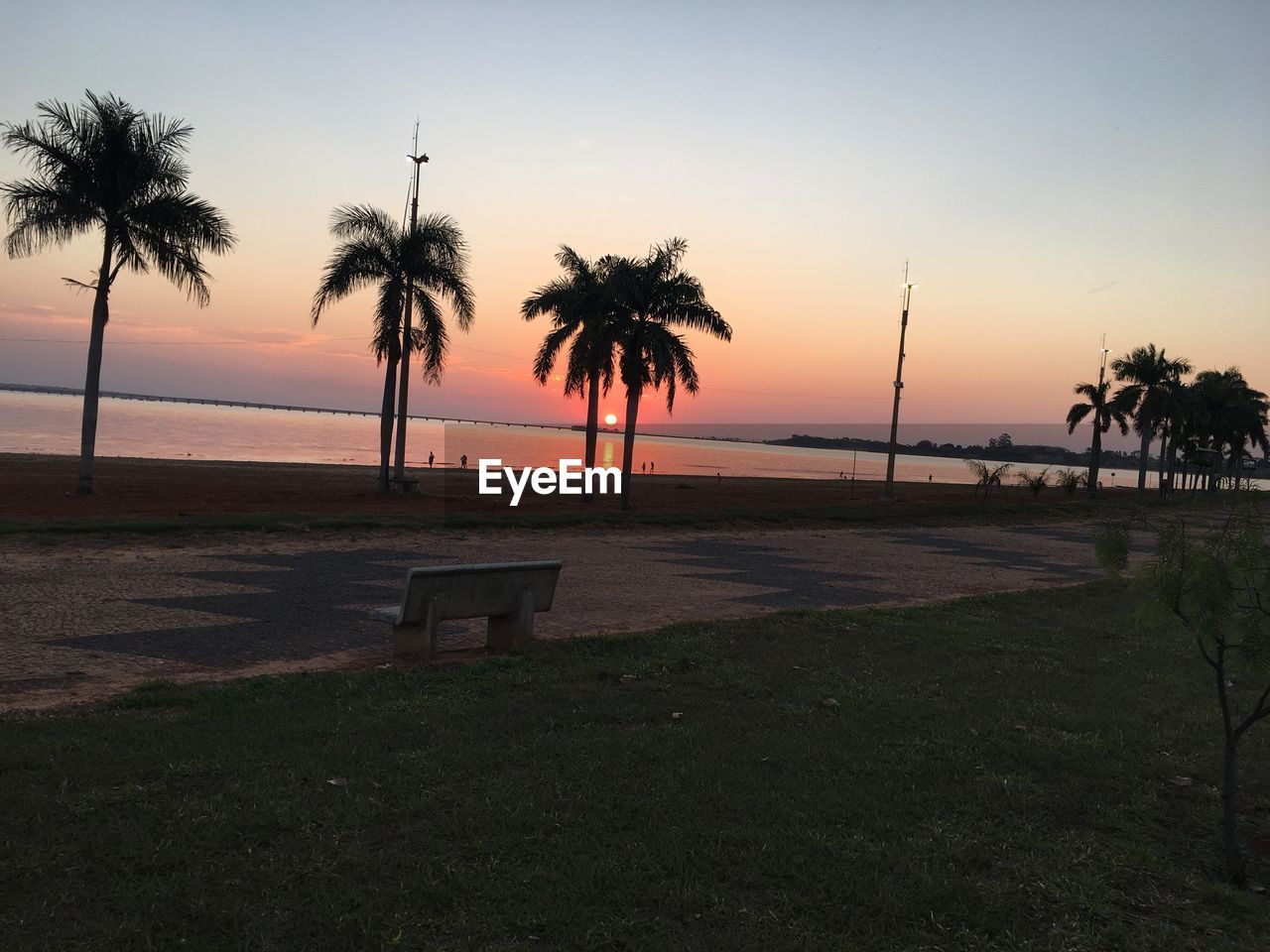 PALM TREES AT BEACH AGAINST CLEAR SKY