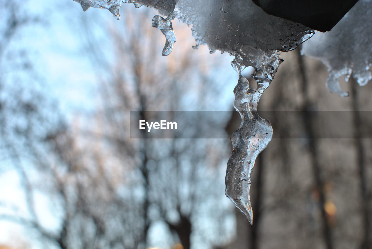 Close-up of icicles during winter