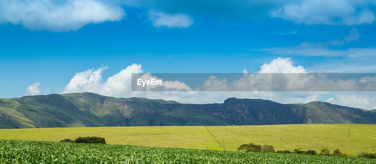 Scenic view of field against sky