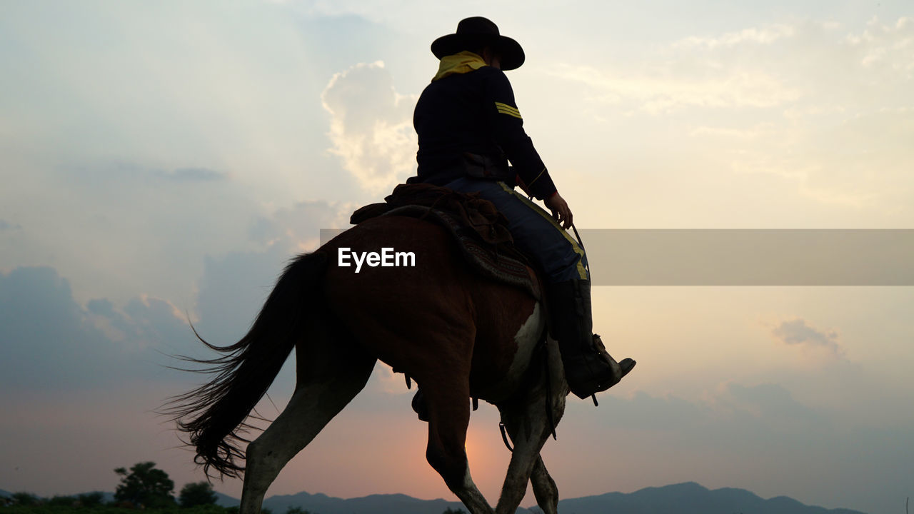 LOW ANGLE VIEW OF HORSE RIDING AGAINST SKY