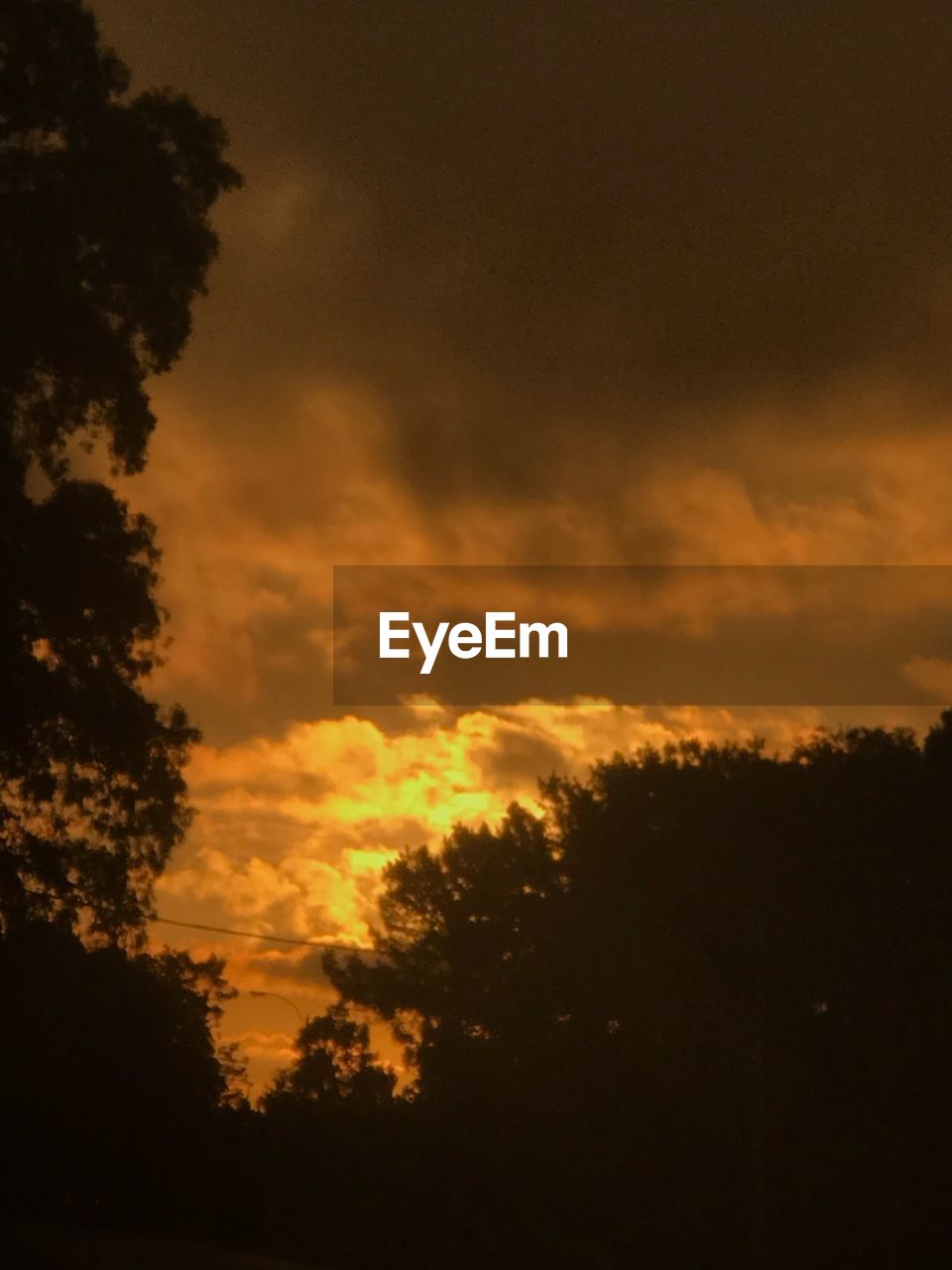 LOW ANGLE VIEW OF SILHOUETTE TREES AGAINST DRAMATIC SKY