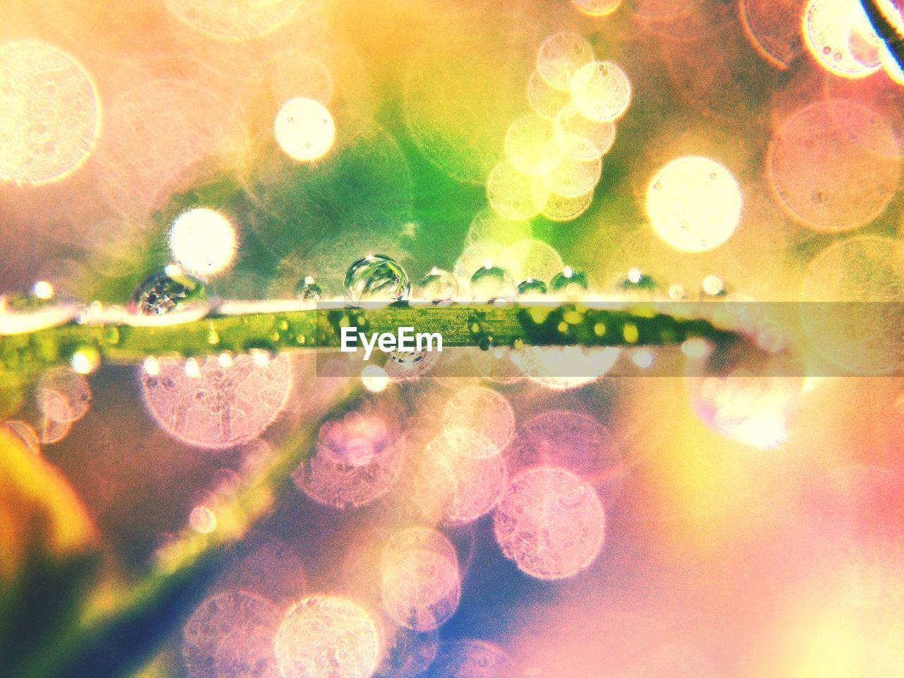 CLOSE-UP OF WATER DROP ON WOMAN