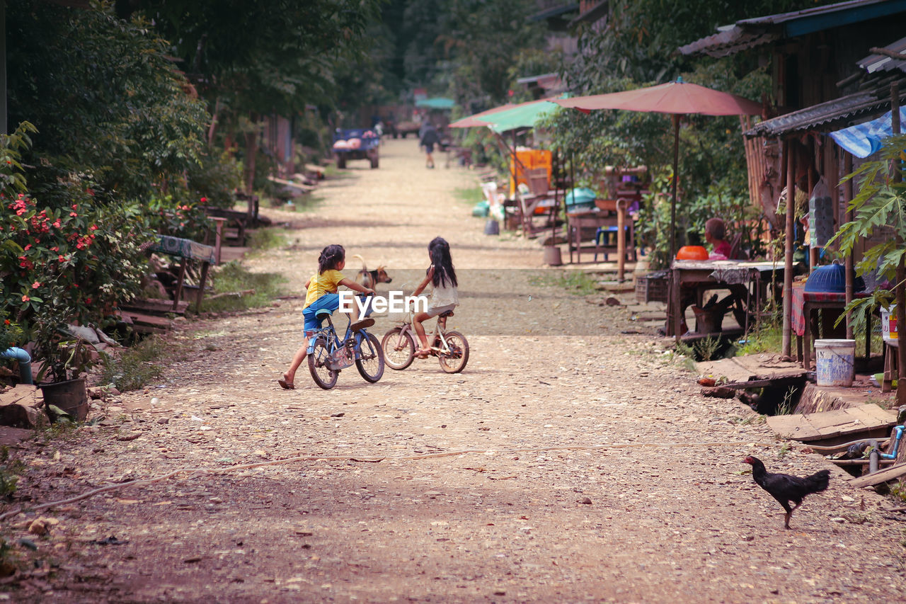 Girls riding bicycles on dirt road
