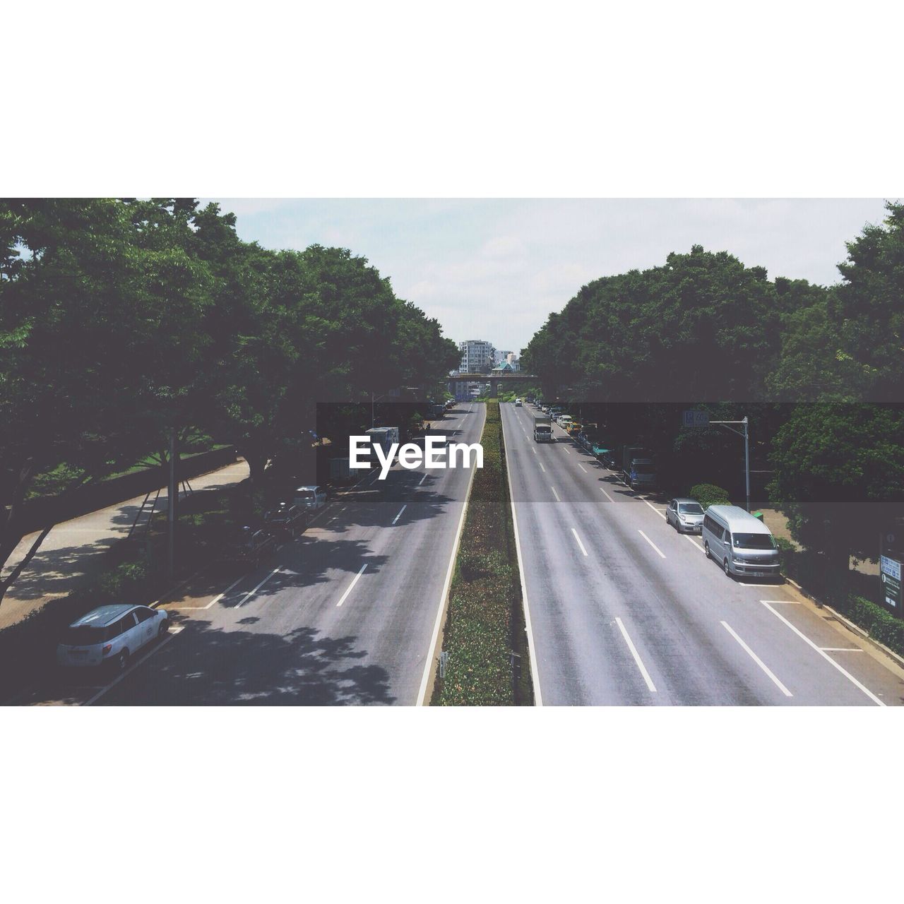 High angle view of empty road along trees