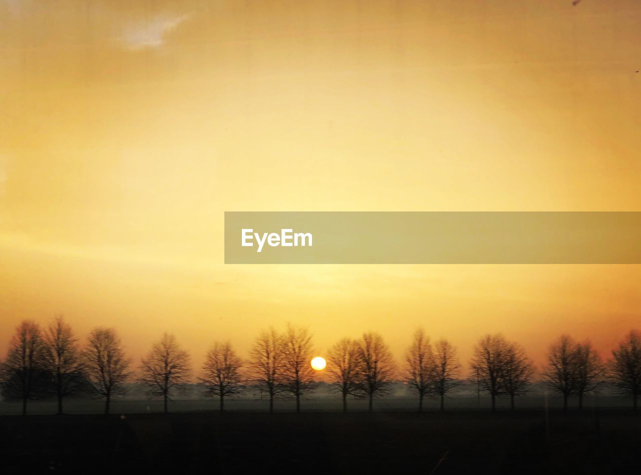 SILHOUETTE BARE TREES AGAINST SKY DURING SUNSET