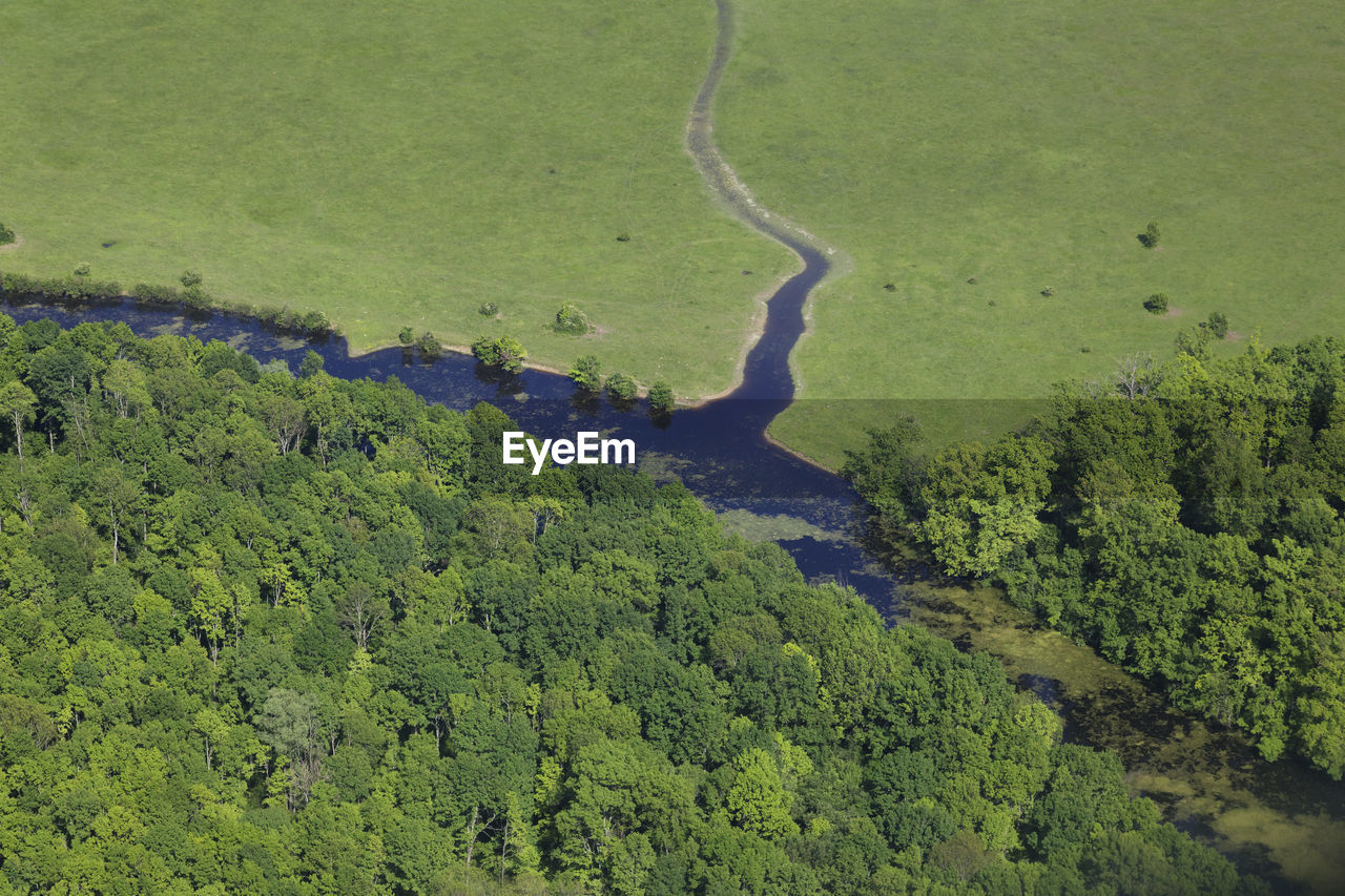 Aerial view of the floodplain on the odra river with the forest and pastures, croatia