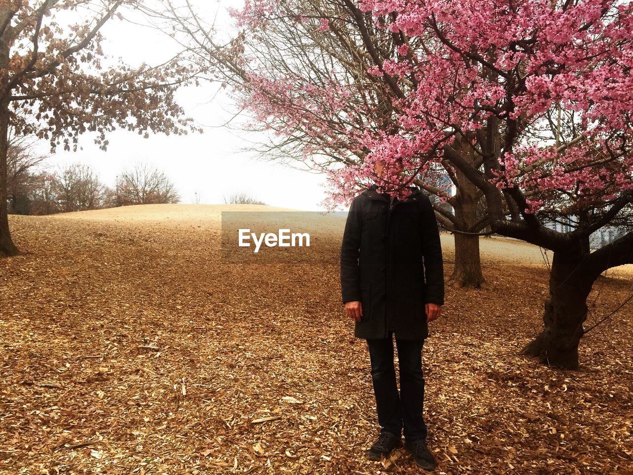 Man standing in front of flowering tree branches on field